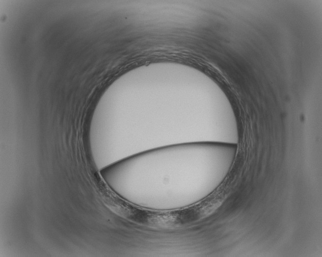 X0000062870217200602101659