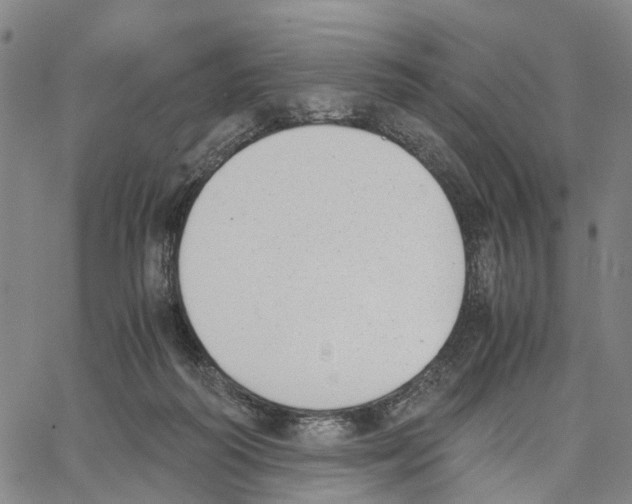 X0000062870218200602101659