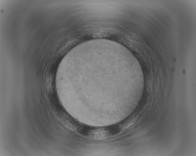 X0000062870219200602101659