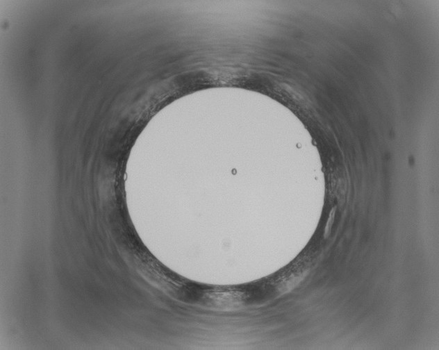 X0000062870221200602101659