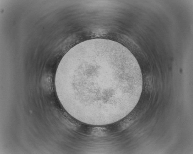 X0000062870222200602101659