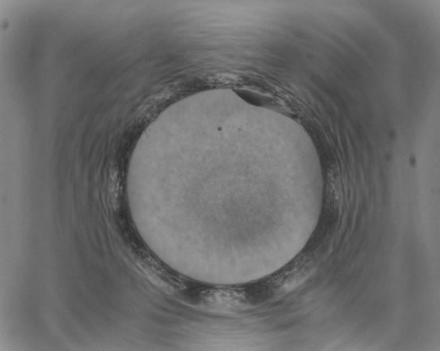 X0000062870223200602101659