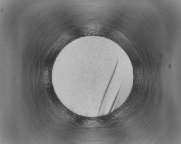 X0000062870224200602101659