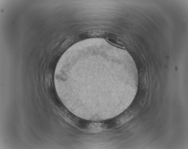 X0000062870227200602101659