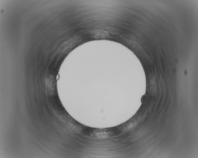 X0000062870228200602101659