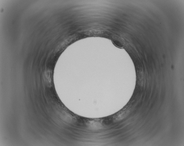 X0000062870232200602101659