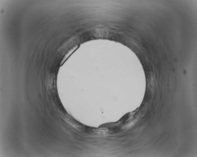 X0000062870233200602101659