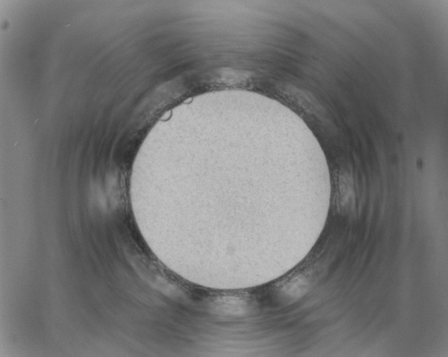 X0000062870236200602101659