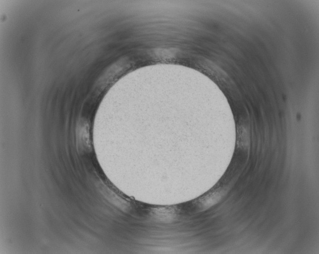 X0000062870238200602101659