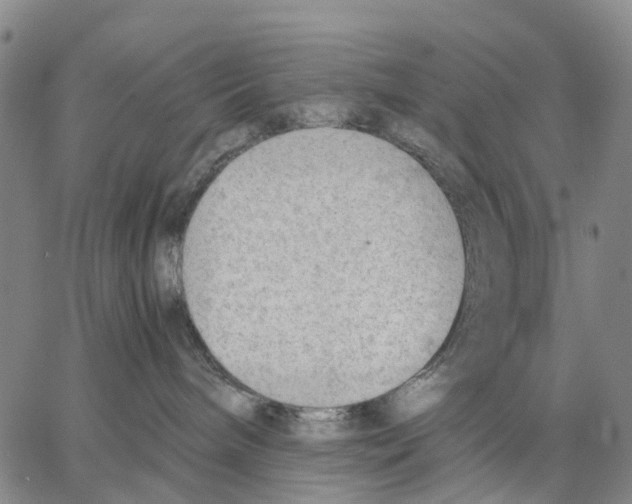 X0000062870240200602101659