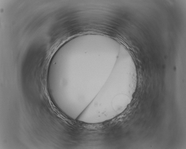 X0000062870241200602101658