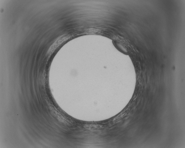 X0000062870242200602101658