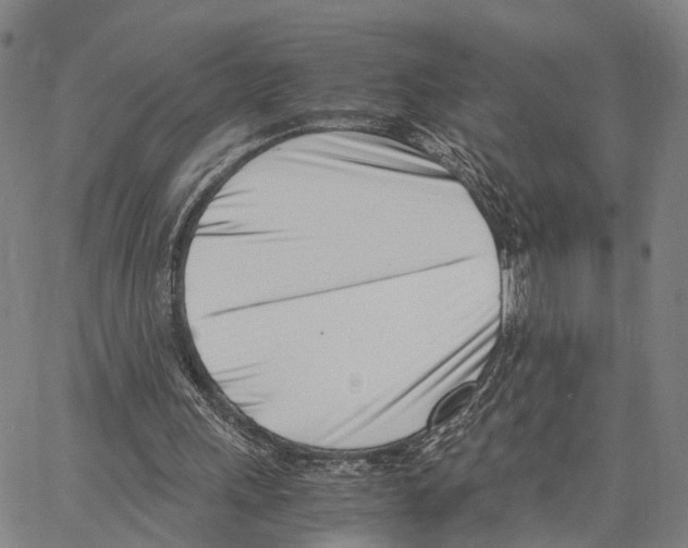 X0000062870243200602101658