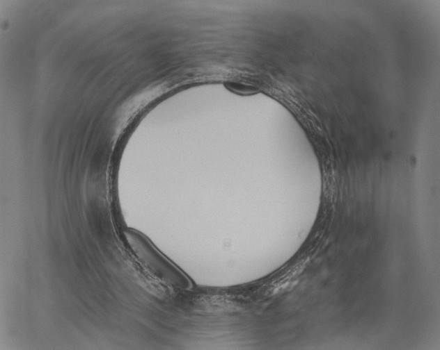 X0000062870244200602101658