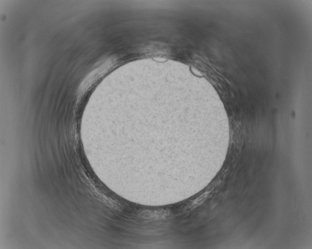 X0000062870245200602101658