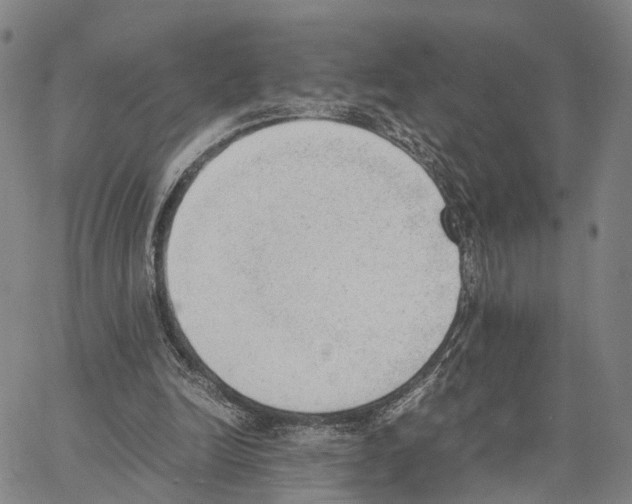 X0000062870246200602101658