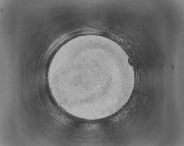 X0000062870247200602101658