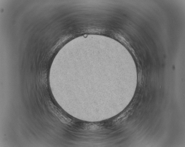 X0000062870249200602101658