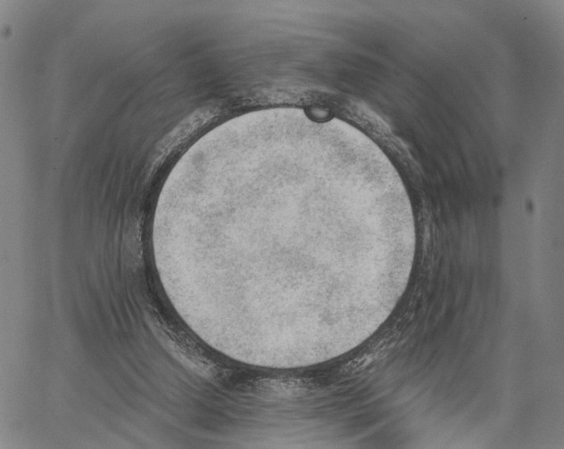 X0000062870250200602101658