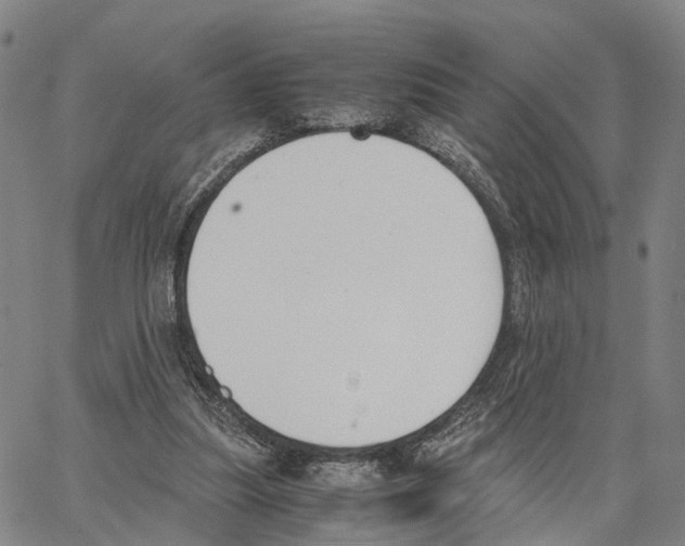 X0000062870251200602101658