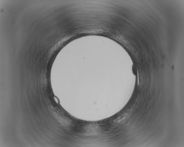 X0000062870252200602101658