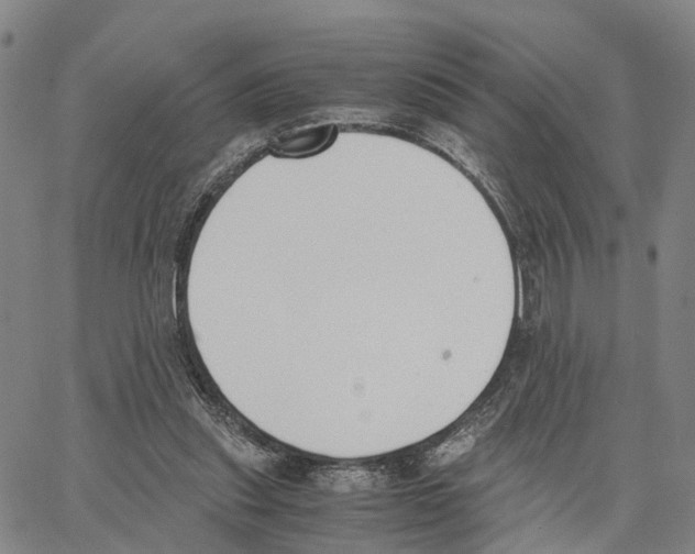 X0000062870253200602101658