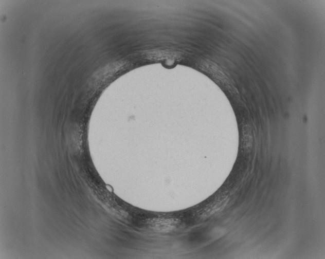 X0000062870255200602101658