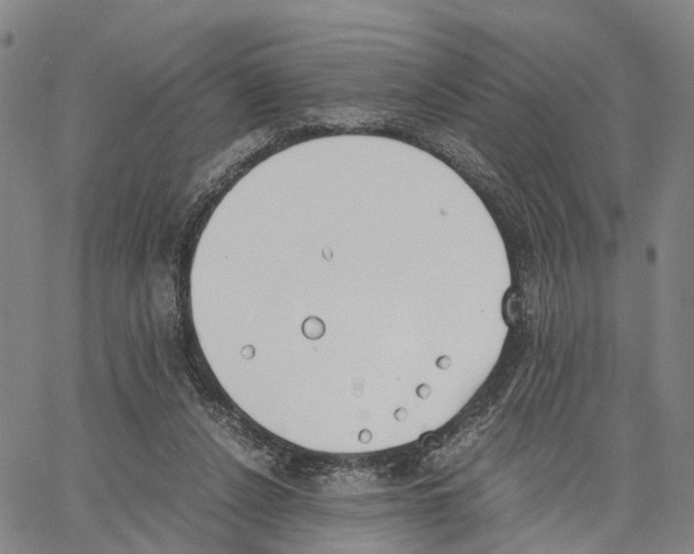 X0000062870256200602101659