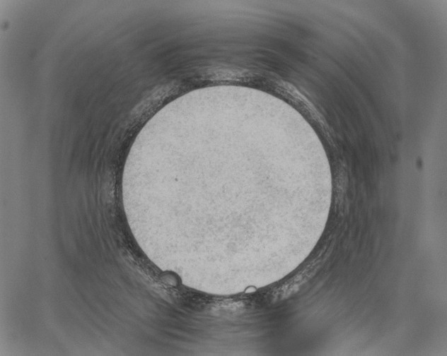 X0000062870257200602101659