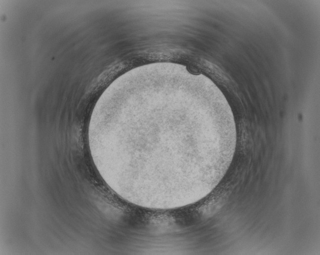 X0000062870258200602101659