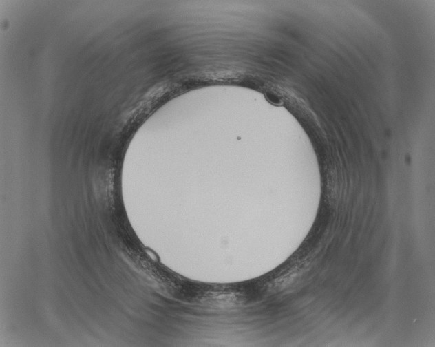 X0000062870260200602101659