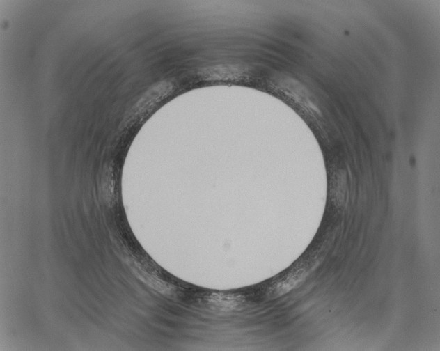 X0000062870261200602101659