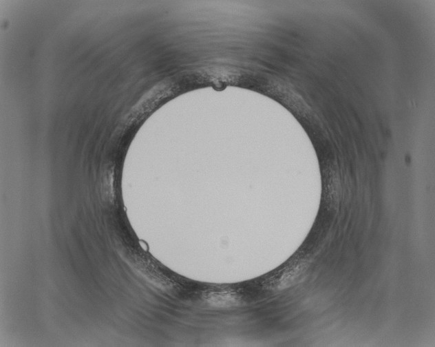 X0000062870262200602101659