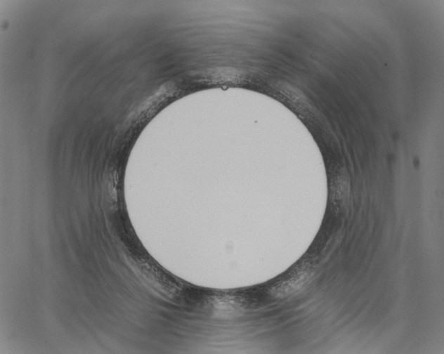 X0000062870264200602101659