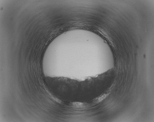 X0000062870265200602101659