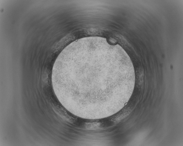 X0000062870266200602101659