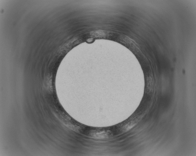 X0000062870267200602101659