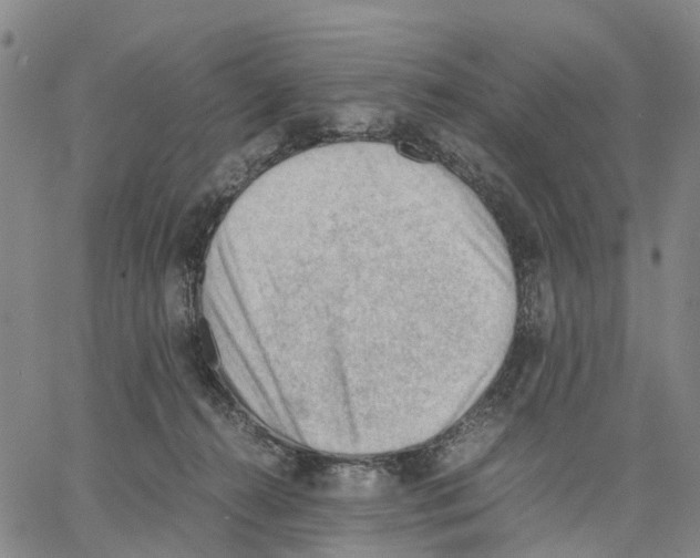 X0000062870272200602101659