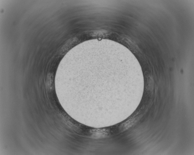 X0000062870273200602101659