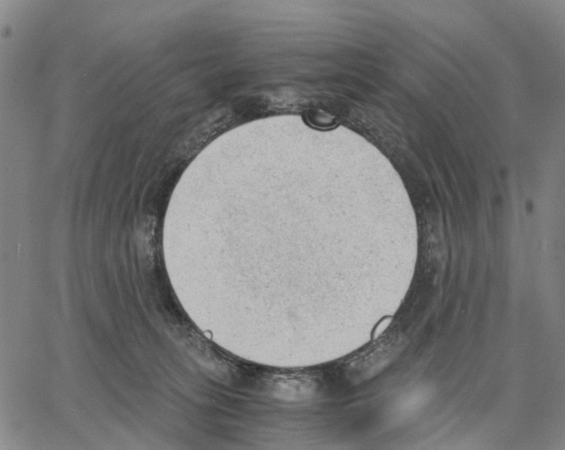 X0000062870275200602101659