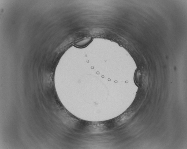 X0000062870278200602101659