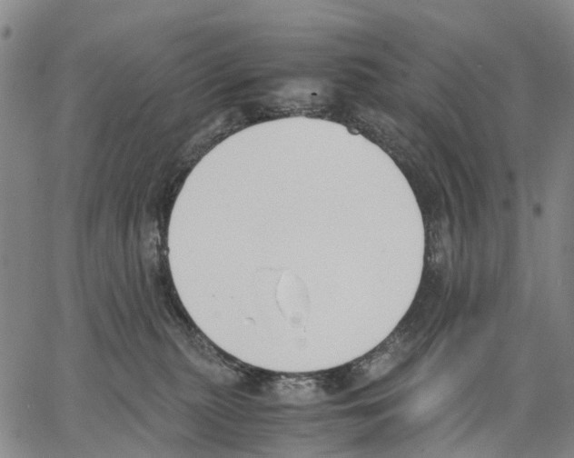 X0000062870279200602101659