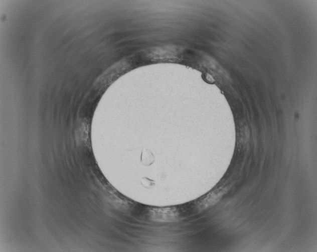 X0000062870281200602101659