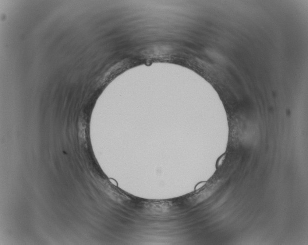 X0000062870282200602101659