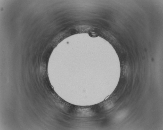 X0000062870283200602101659