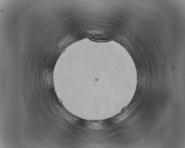 X0000062870285200602101659