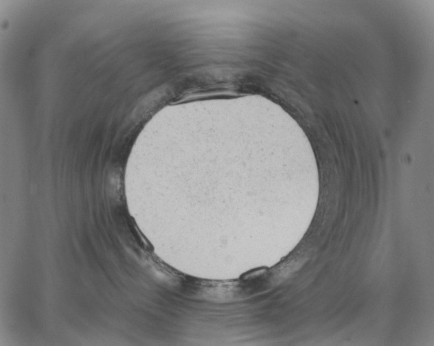 X0000062870288200602101659