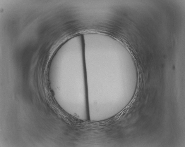 X0000062870289200602101658