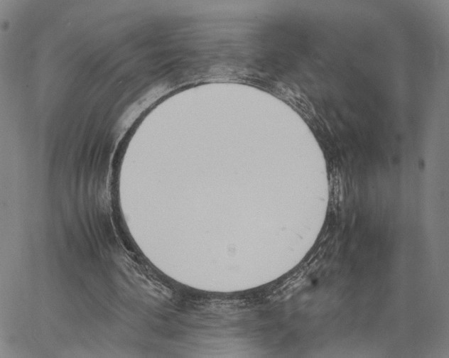 X0000062870292200602101658