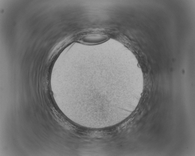 X0000062870293200602101658